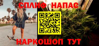 СК Шахты