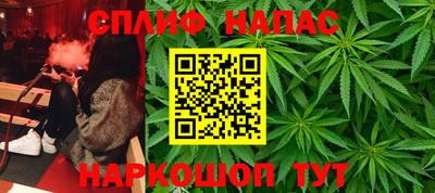 СК Шахты