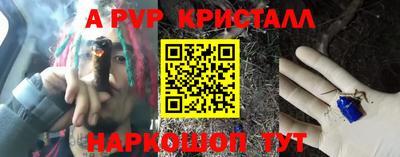 СК Шахты