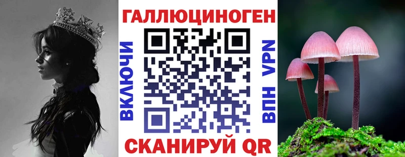 Псилоцибиновые грибы GOLDEN TEACHER  наркотики  блэк спрут рабочий сайт  Оренбург 